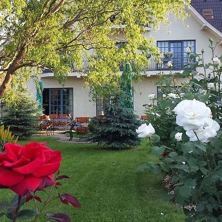 Villa Westfalia Guest House Tîrgu Secuiesc エクステリア 写真