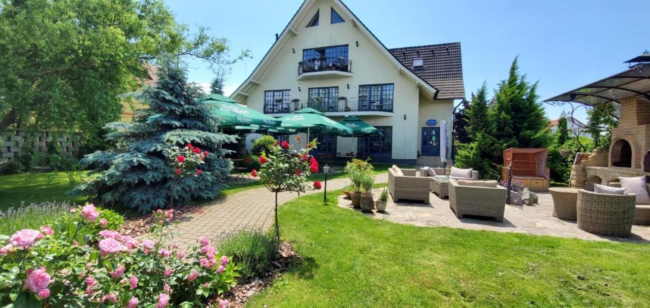 Villa Westfalia Guest House Tîrgu Secuiesc エクステリア 写真