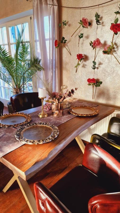 Villa Westfalia Guest House Tîrgu Secuiesc エクステリア 写真