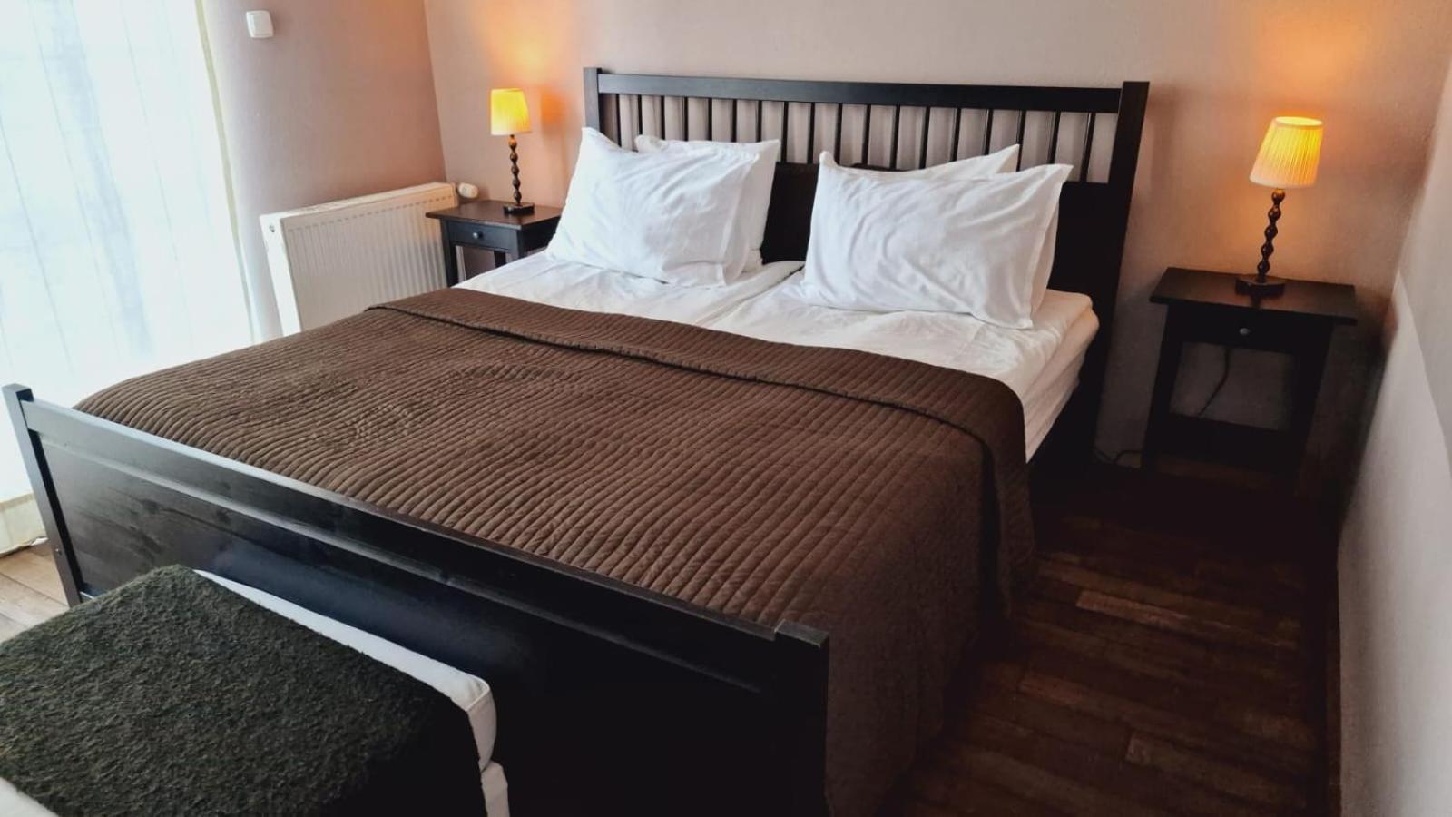 Villa Westfalia Guest House Tîrgu Secuiesc エクステリア 写真