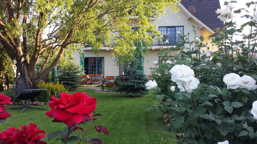 Villa Westfalia Guest House Tîrgu Secuiesc エクステリア 写真
