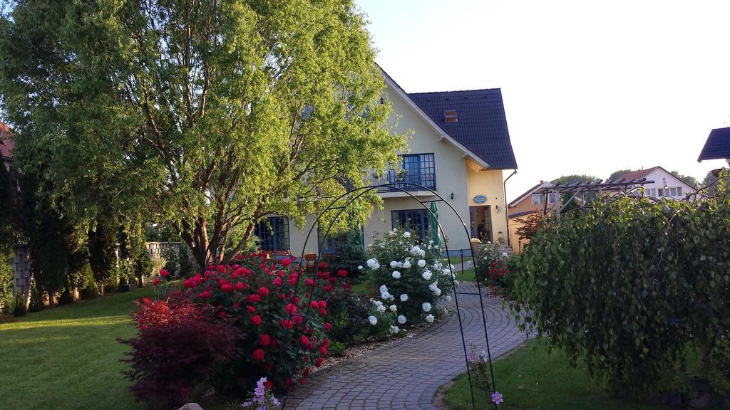 Villa Westfalia Guest House Tîrgu Secuiesc エクステリア 写真
