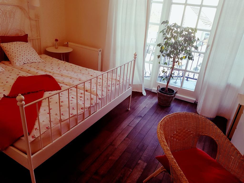 Villa Westfalia Guest House Tîrgu Secuiesc エクステリア 写真