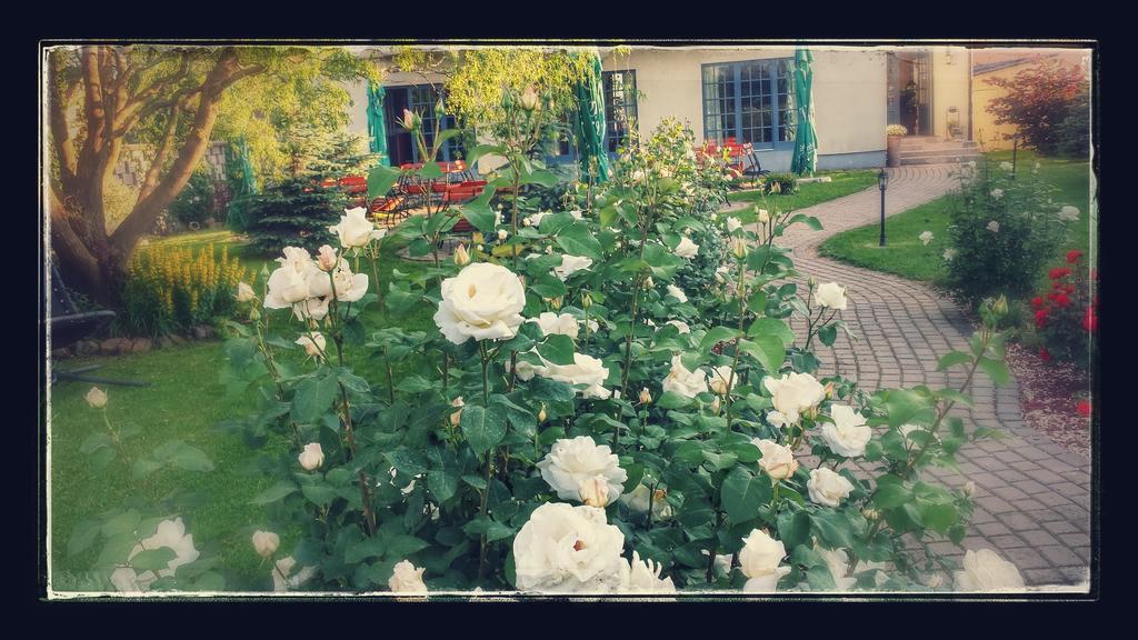 Villa Westfalia Guest House Tîrgu Secuiesc エクステリア 写真
